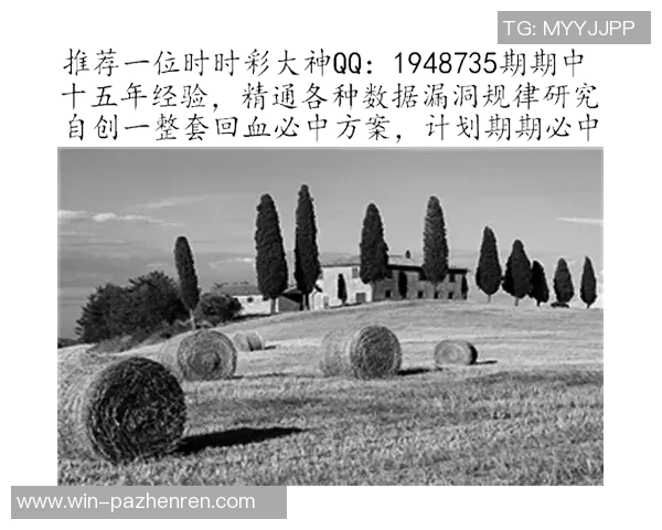 半程过后新疆四平八稳，这一次他们还会出乱子吗？